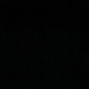 Meet your Posher, Ginger